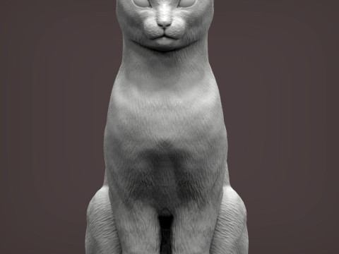 Abyssinian cat 3D 打印模型