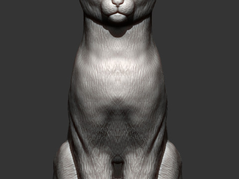Abyssinian cat 3D 打印模型