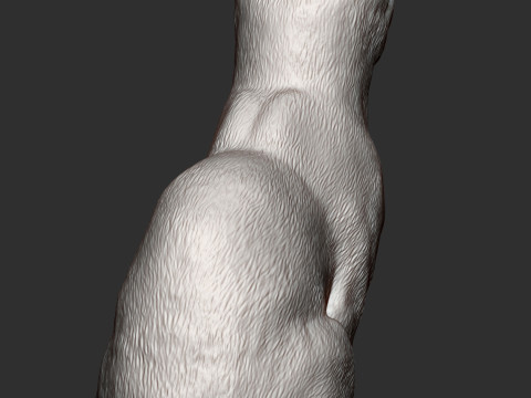 Abyssinian cat 3D 打印模型
