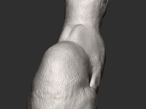 Kot abisyński Model do druku 3D