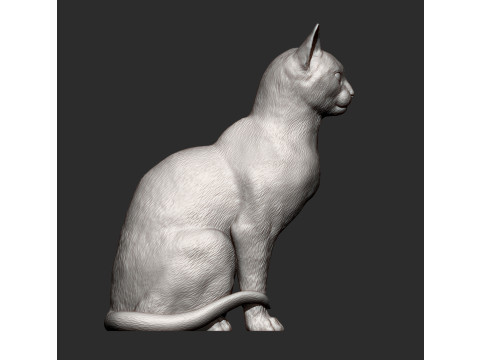 Abyssinian cat 3D 打印模型