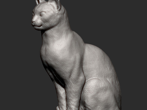 Abyssinian cat 3D 打印模型