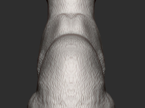 Abyssinian cat 3D 打印模型