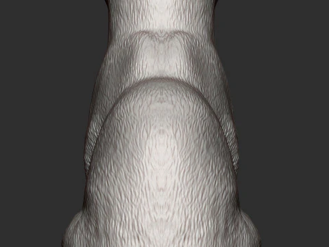 Kot abisyński Model do druku 3D