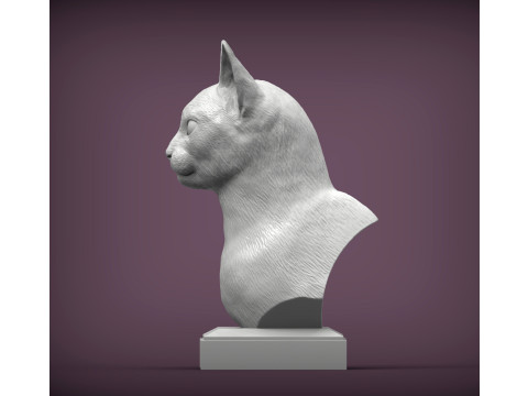 Abyssinian cat 3D Print Model