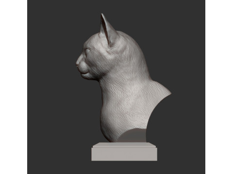 Abyssinian cat 3D Print Model