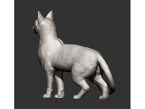 Abyssinian cat Modelo de impresión 3D