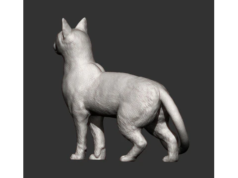 Abessijnse kat 3D printmodel