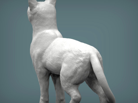 Abyssinian cat Modelo de impresión 3D