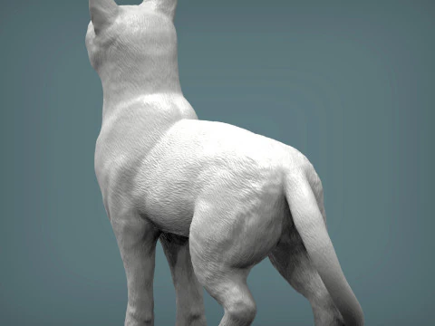 Abessijnse kat 3D printmodel