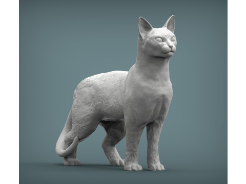 Abyssinian cat Modelo de impresión 3D