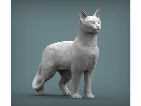 Abessijnse kat 3D printmodel