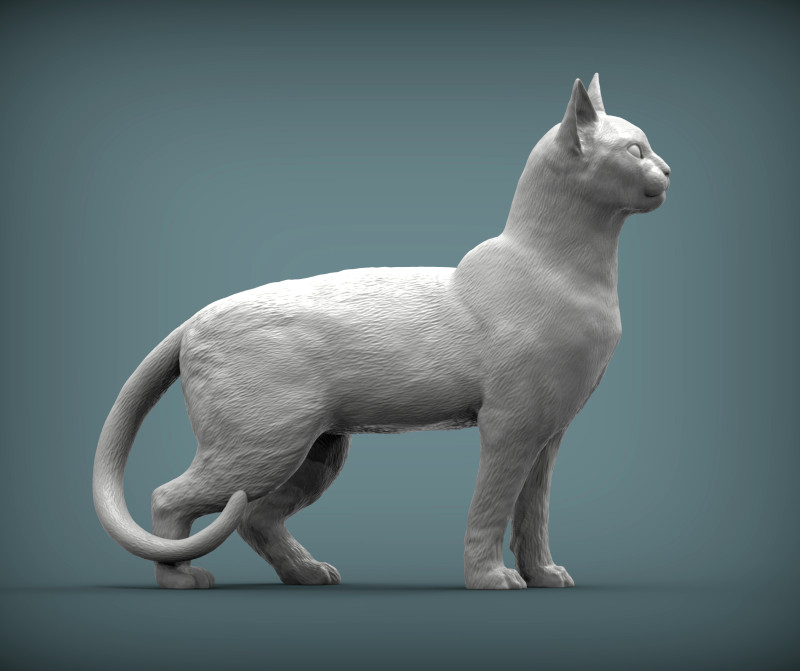 Abyssinian cat Modelo de impresión 3D .c4d .max .obj .3ds .fbx .stl .blend