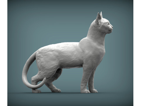 Abyssinian cat 3Dプリントモデル