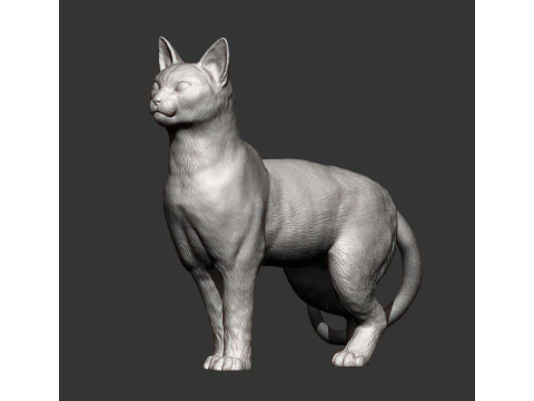 Abessijnse kat 3D printmodel
