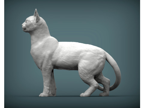 Abyssinian cat Modelo de impresión 3D