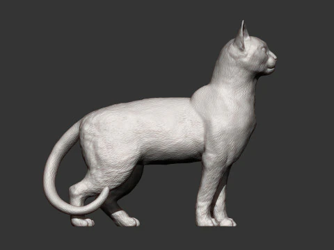 Abessijnse kat 3D printmodel