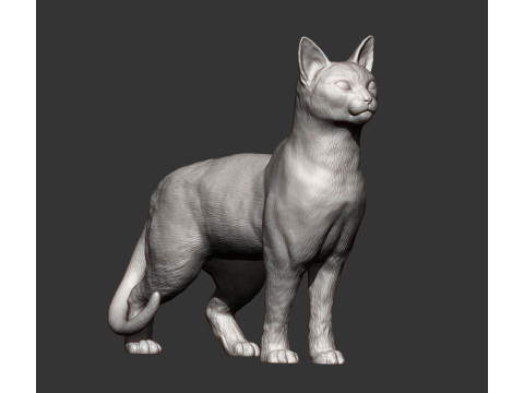 Abyssinian cat Modelo de impresión 3D