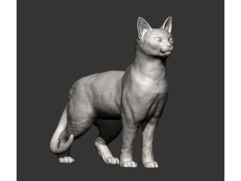 Abessijnse kat 3D printmodel