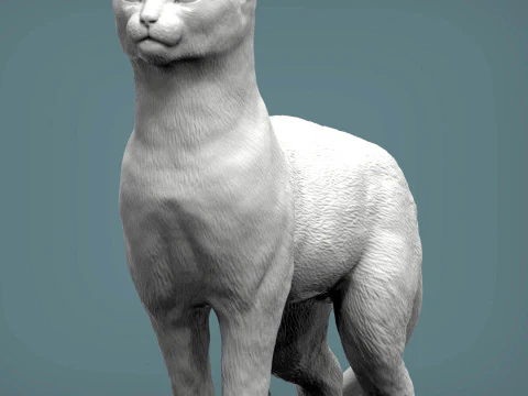Abessijnse kat 3D printmodel