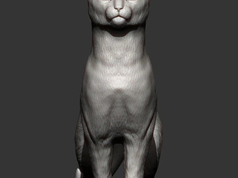 Abessijnse kat 3D printmodel