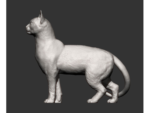 Abyssinian cat Modelo de impresión 3D