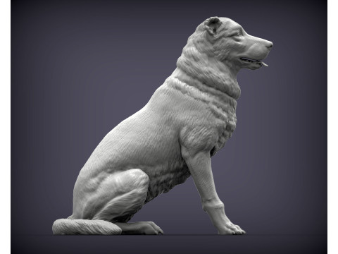Central asian shepherd 3D Принт Модель