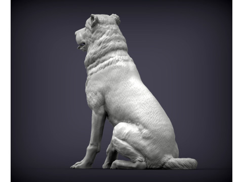 Central asian shepherd 3D Принт Модель