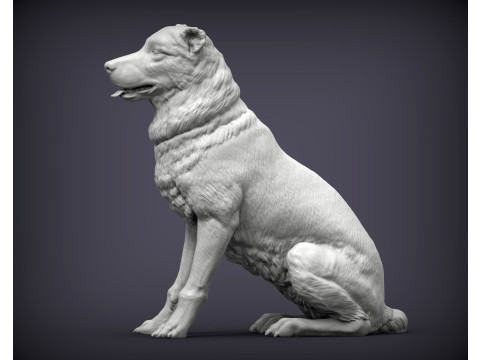 Central asian shepherd 3D Принт Модель