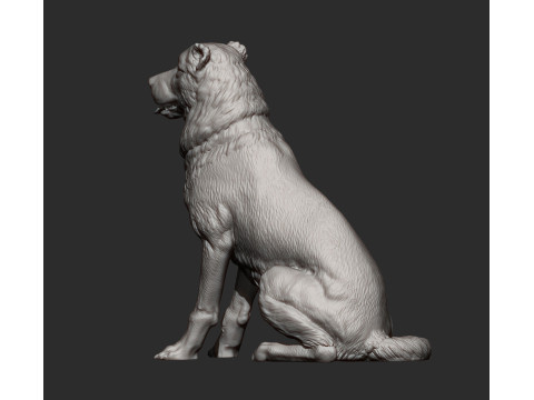 Central asian shepherd 3D Принт Модель