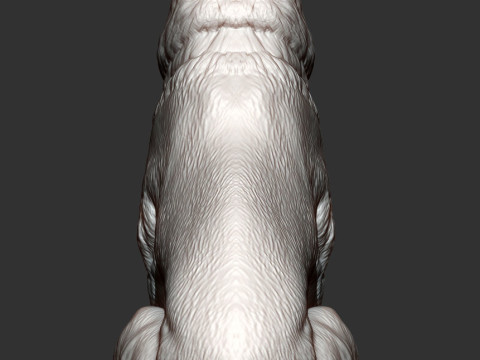 Central asian shepherd 3D Принт Модель