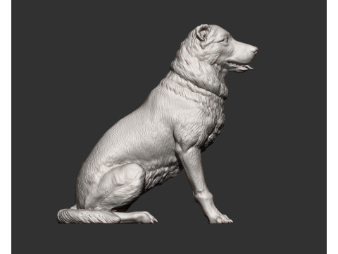 Central asian shepherd 3D Принт Модель