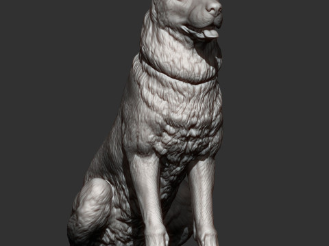 Central asian shepherd 3D Принт Модель