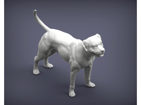 American bulldog 3D प्रिंट मॉडल