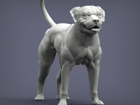 American bulldog 3D प्रिंट मॉडल