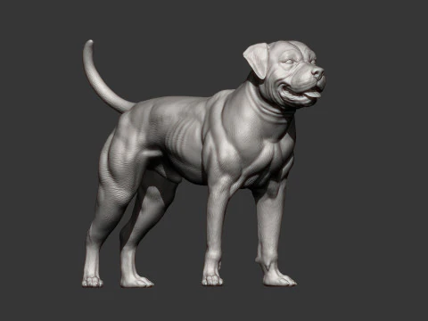 American bulldog 3D Print Model