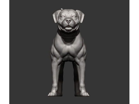 American bulldog 3D प्रिंट मॉडल