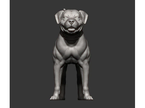 American bulldog 3D Print Model