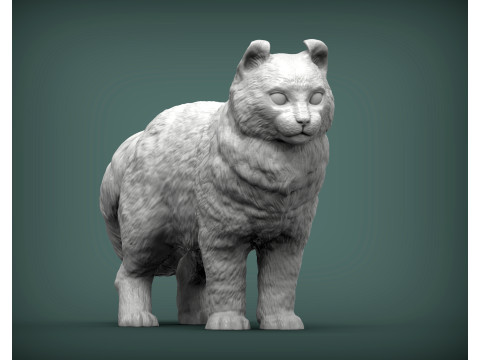 American curl 3D Baskı Modeli
