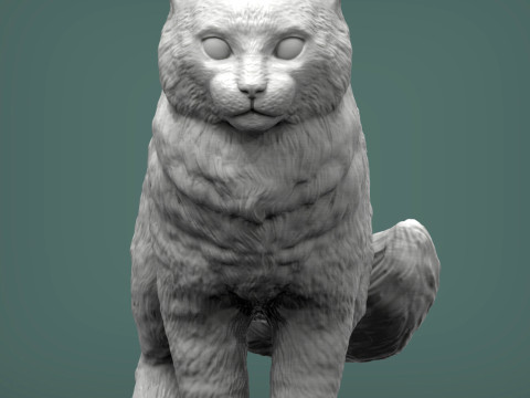 American curl 3D Baskı Modeli