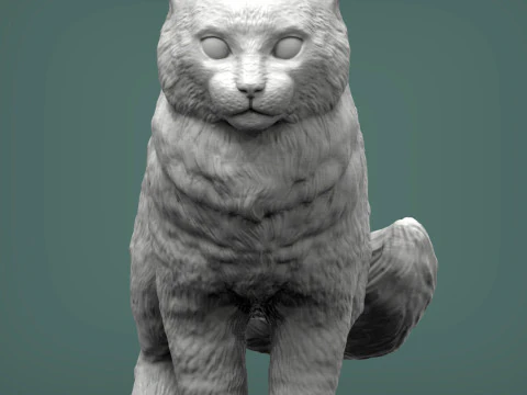 American curl 3D Print Model
