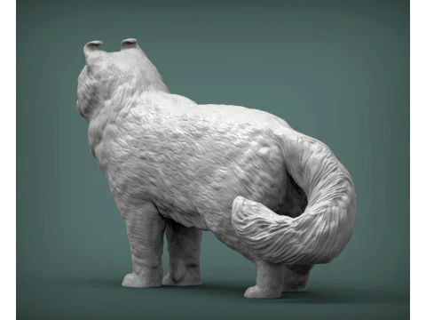 American curl 3D Print Model
