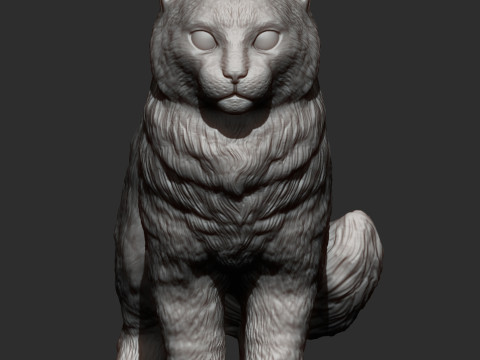 American curl 3D Baskı Modeli