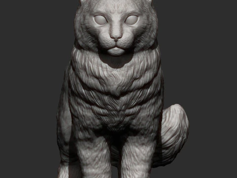 American curl 3D Print Model