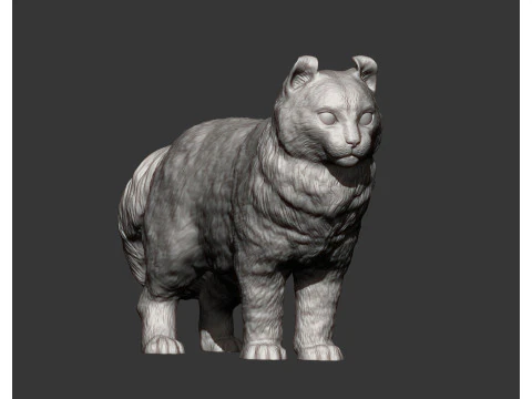 American curl 3D Print Model