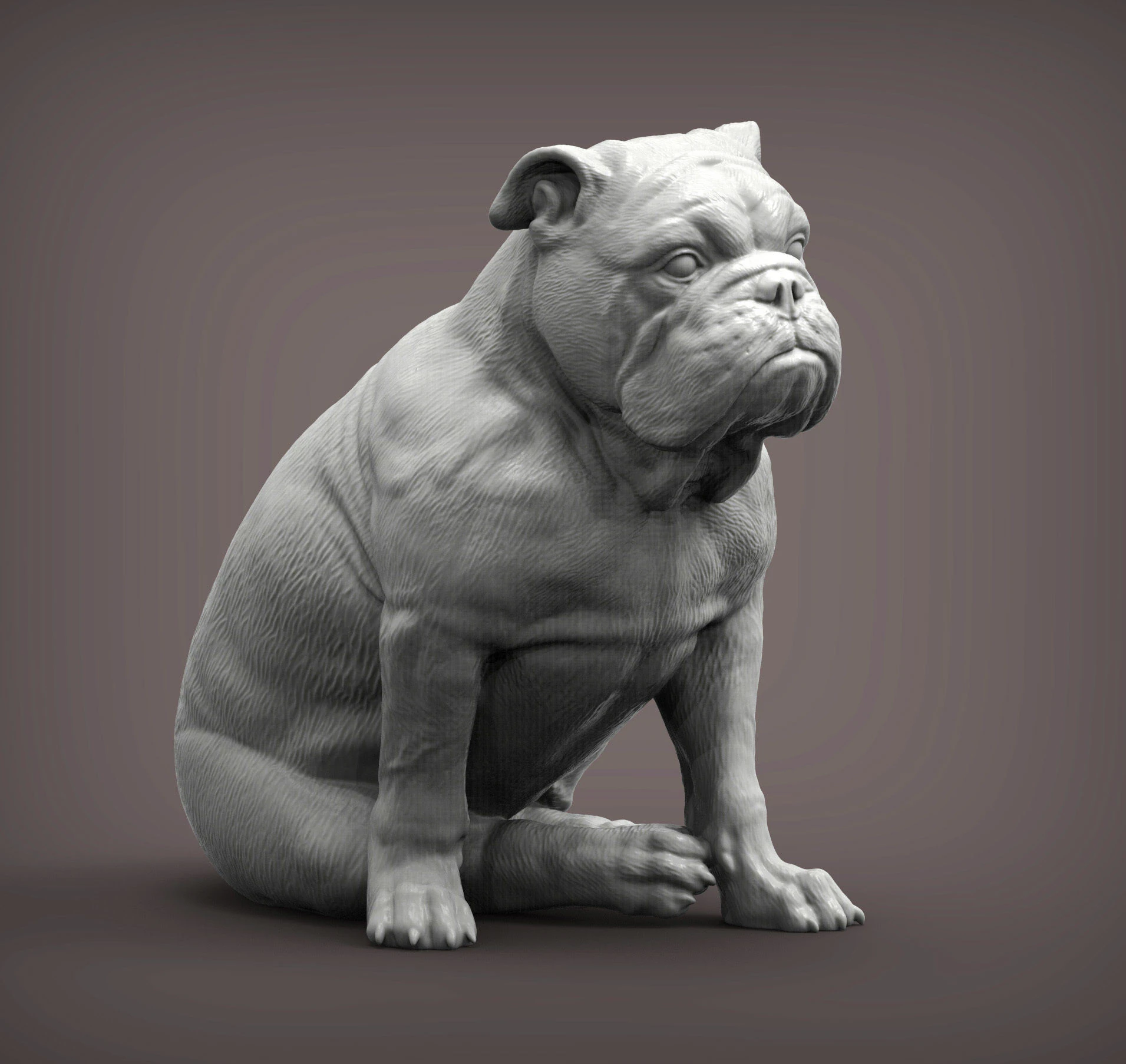 English bulldog 3D Print Model .c4d .max .obj .3ds .fbx .stl .blend