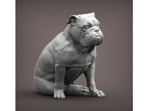 English bulldog 3Dプリントモデル