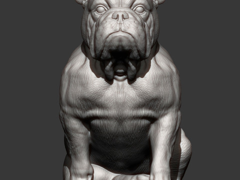 English bulldog 3D Принт Модель