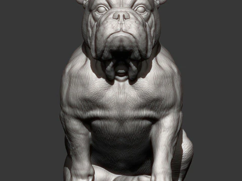 English bulldog 3D Print Model