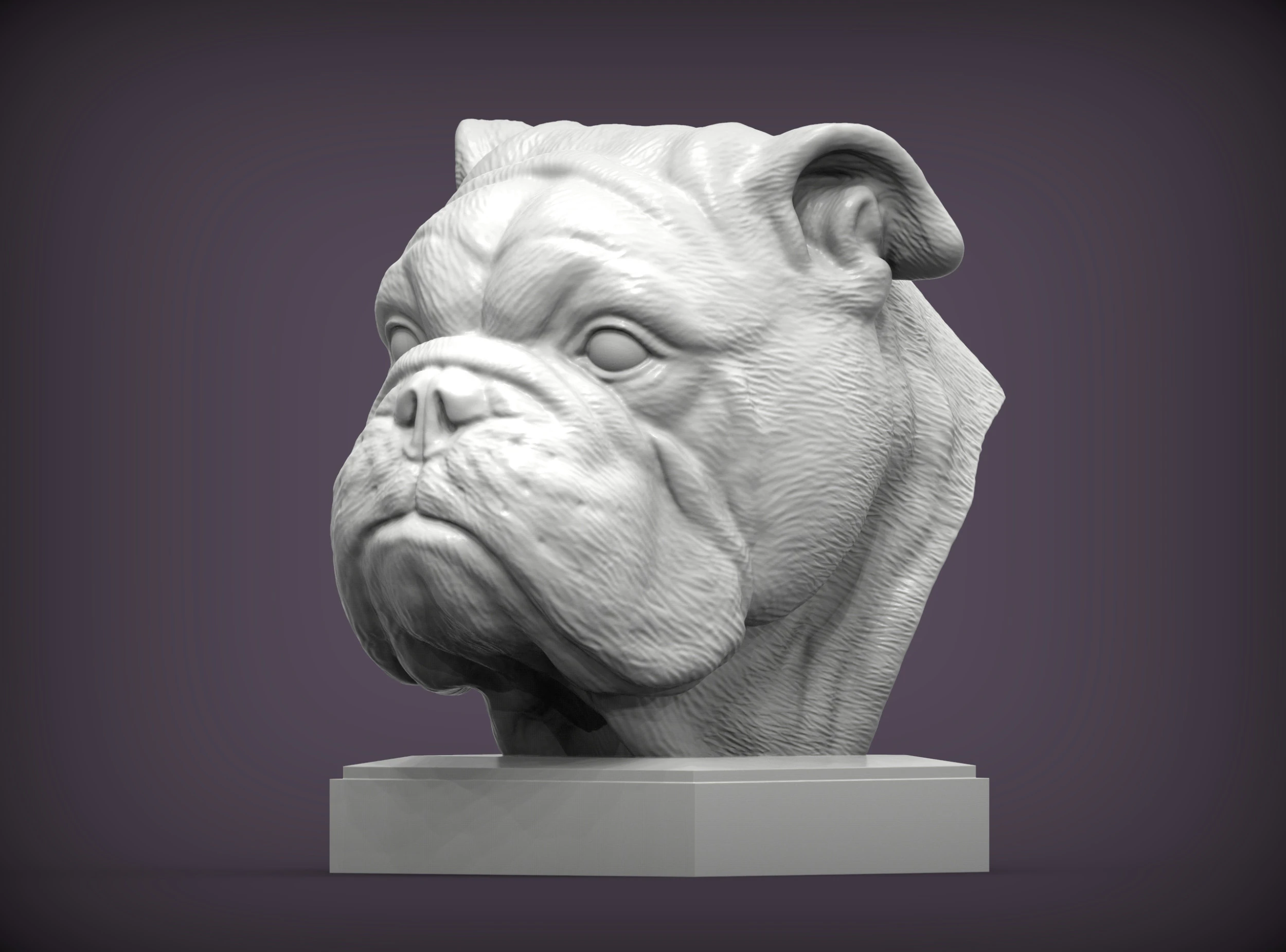 English bulldog 3D Print Model .c4d .max .obj .3ds .fbx .stl .blend
